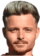 Marian Liviu Draghiceanu