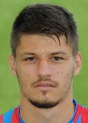 บรูโน  เพตโกวิก