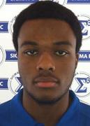 ไซเล ลาริน