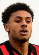 นิโก้ฮามาไลเน่น