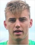 ไมเคิล  วูด์