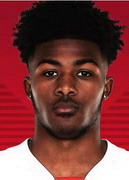 เอนสลีย์ เมตแลนด์ ไนล์ส