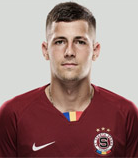 มาร์ตินยานคอฟมินเชฟ