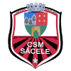 FC Sacele